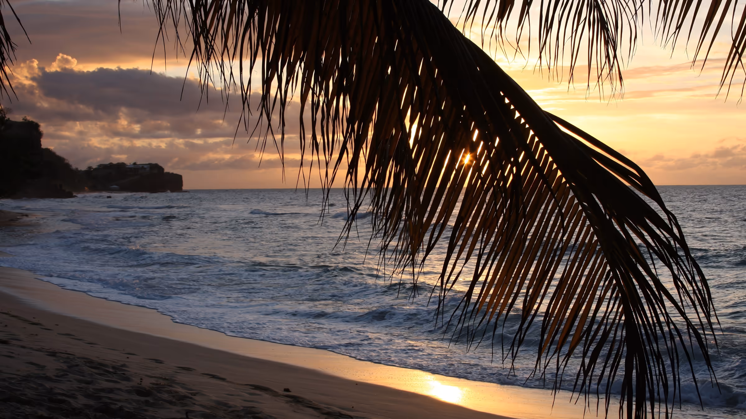A palm frond in silhouette over a Caribbean beach at sunset, the sea turning gold.